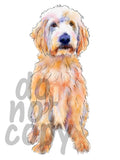 Labradoodle Watercolor Dog - Dye Sub Heat Transfer Sheet