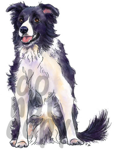 Border Collie Watercolor Dog - Dye Sub Heat Transfer Sheet