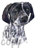 German Shorthaired Pointer Watercolor Dog - Dye Sub Heat Transfer Sheet