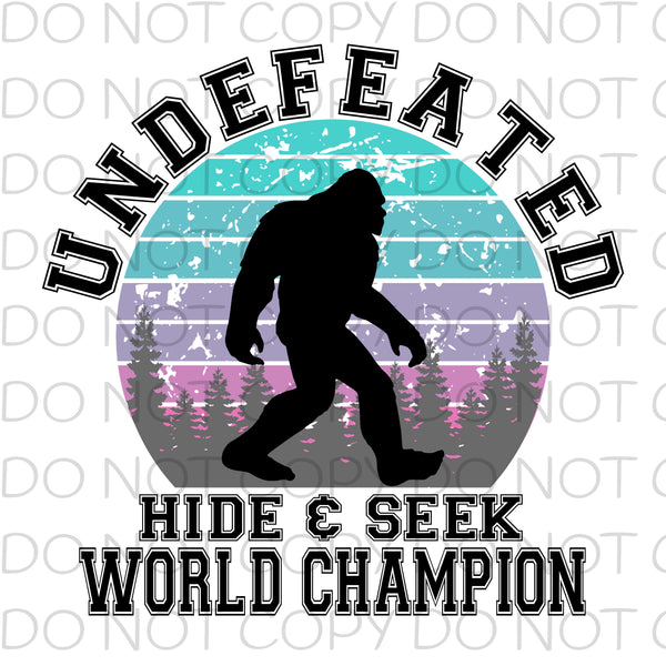 Undefeated hide and seek world champion pastel - HTV Transfer