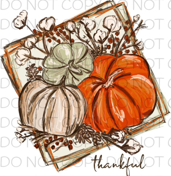 Thankful Cotton Pumpkins - Dye Sub Heat Transfer Sheet
