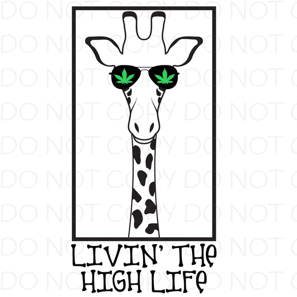 Livin the high life - HTV Transfer