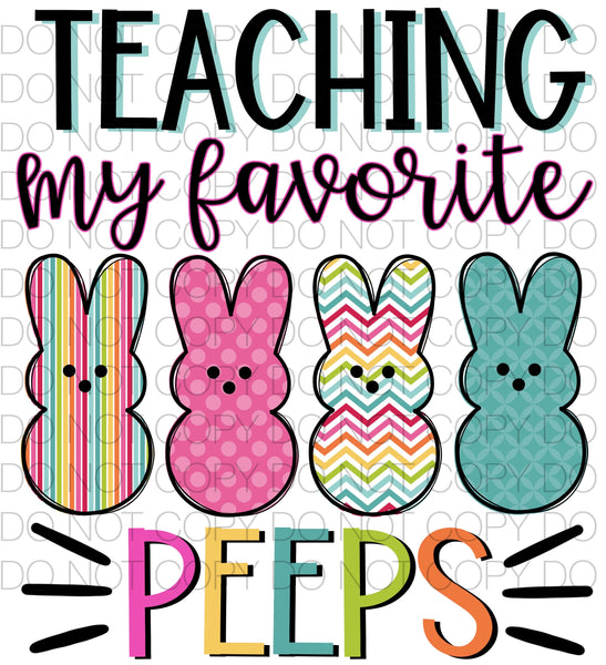 Teaching my favorite peeps - HTV Transfer
