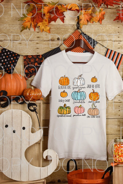 SP081-Pumpkin Varieties Screenprint Transfer
