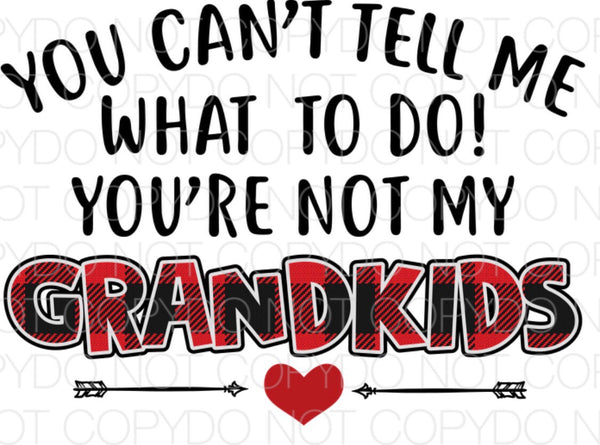 You can’t tell me what to do you’re not my grandkids - Dye Sub Heat Transfer Sheet
