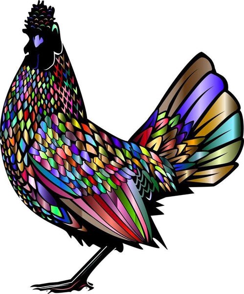 Rainbow Chicken - Dye Sub Heat Transfer Sheet
