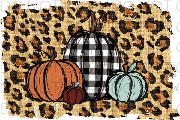 Leopard Background Pumpkins - HTV Transfer