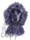 Poodle Watercolor Dog - Dye Sub Heat Transfer Sheet