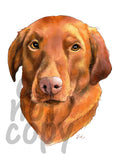 Red Lab Watercolor Dog - Dye Sub Heat Transfer Sheet