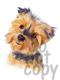 Yorkie Watercolor Dog - Dye Sub Heat Transfer Sheet